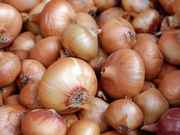 Cebollas