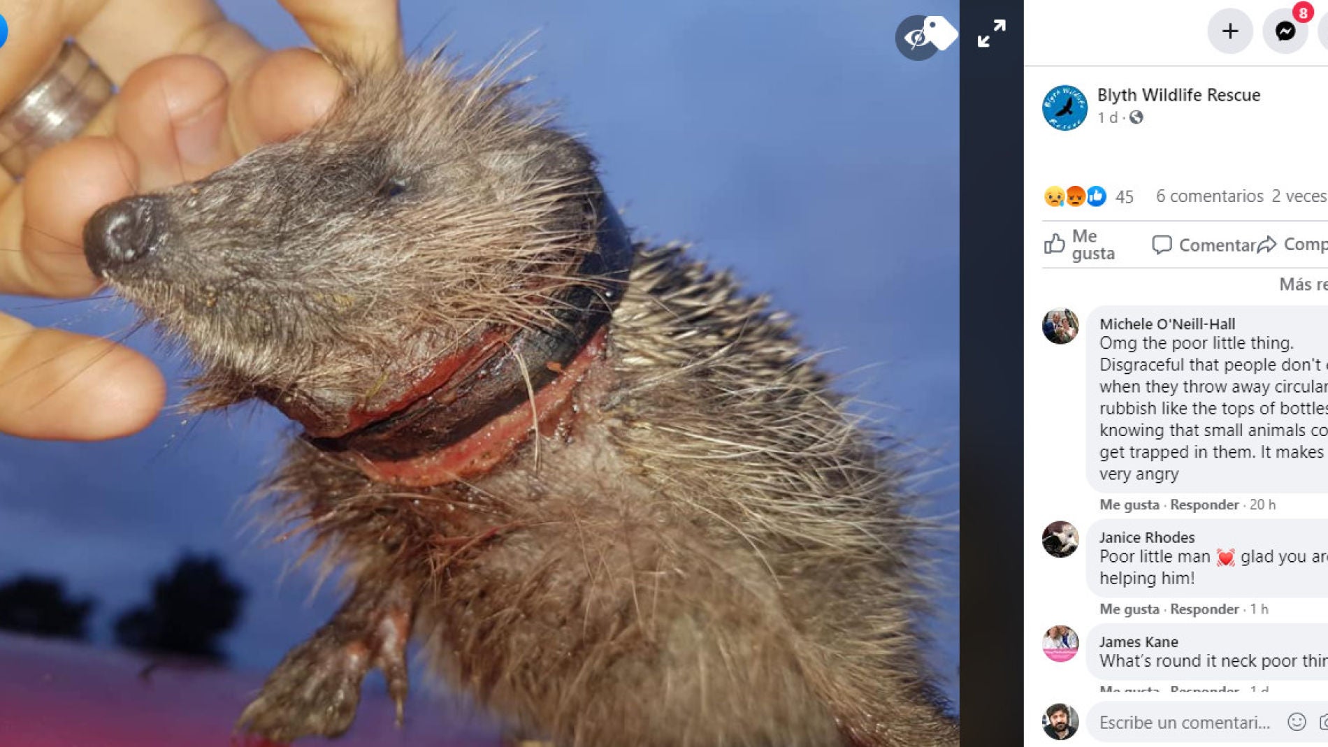 Facebook de Blyth Wildlife Rescue