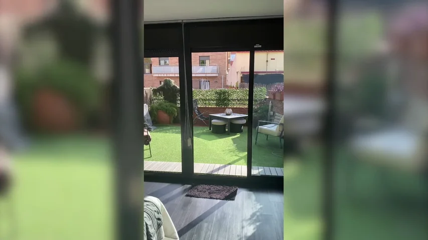 VÍDEO: Se disfraza de arbusto para darle un susto a su madre en Tarragona VÍDEO: Se disfraza de arbusto para darle un susto a su madre en Tarragona
