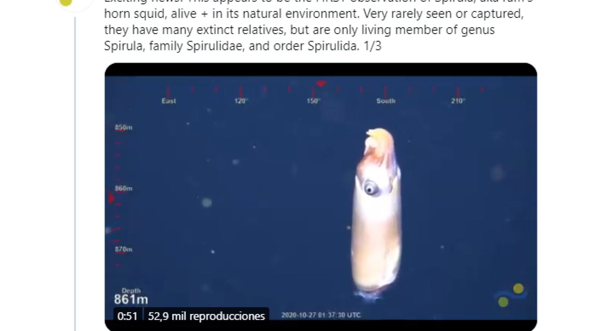 Tuit de Schmidt Ocean