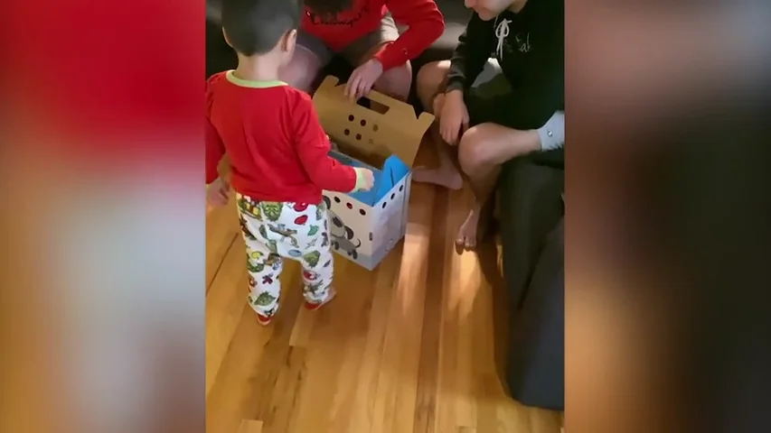 VÍDEO: Adolescente se echa a llorar cuando le dan la sorpresa de su vida