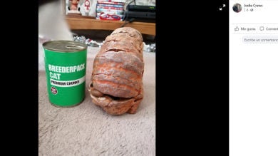 Se llevaron un 'fósil' a casa pero casi mueren cuando estalló en su cocina