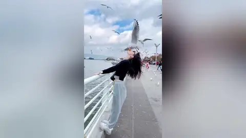 Turistas chinos dejan que gaviotas coman pan de su boca en el vídeo más raro que verás en mucho tiempo Turistas chinos dejan que gaviotas coman pan de su boca en el vídeo más raro que verás en mucho tiempo