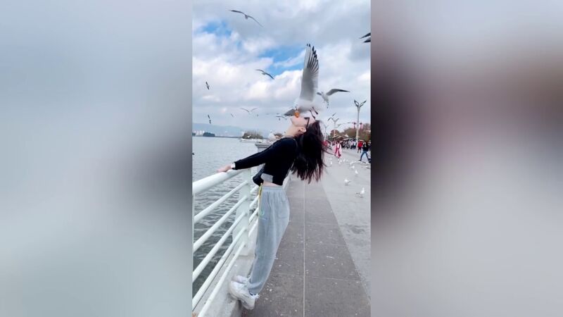 Turistas chinos dejan que gaviotas coman pan de su boca en el vídeo más raro que verás en mucho tiempo