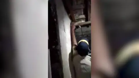 Un policía captura una pitón de casi tres metros con las manos en el techo de una casa Un policía captura una pitón de casi tres metros con las manos en el techo de una casa