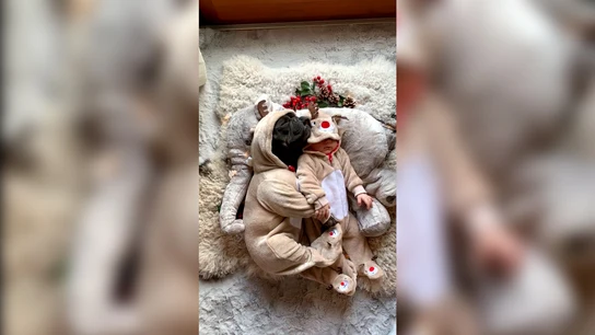 Bulldog francés duerme con su amigo bebé Bulldog francés duerme con su amigo bebé