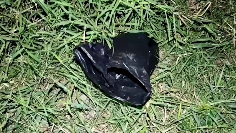Escucha ruidos en una bolsa de basura tirada a un lago y se lleva la mayor sorpresa al mirar dentro