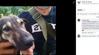 Un perro no para de ladrar a un extraño y lo lleva corriendo hasta un bebé abandonado