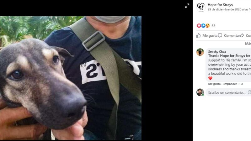 Un perro no para de ladrar a un extraño y lo lleva corriendo hasta un bebé abandonado