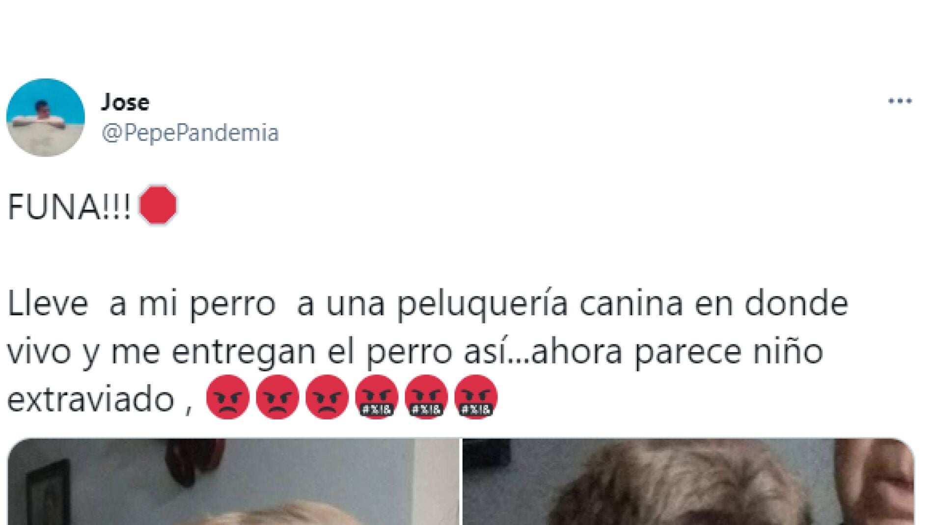 Tuit de @pepepandemia