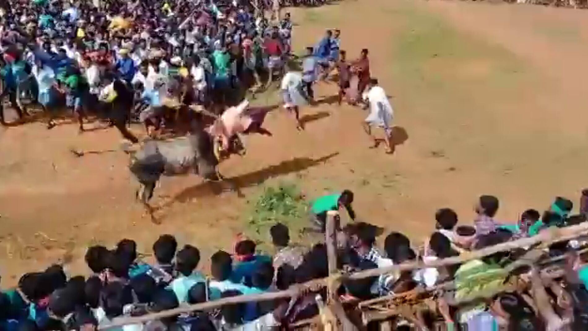 Un toro salta la valla y arrasa entre el p&uacute;blico de un evento de toros en la India