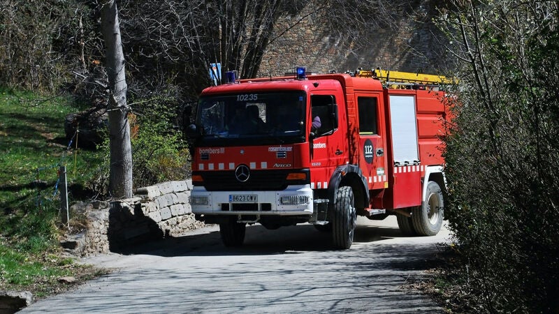 Un perro avisa de un incendio y salva a 150 personas de las llamas