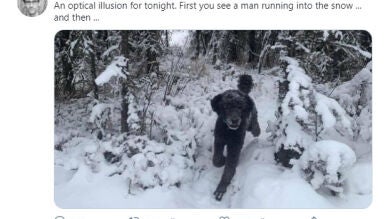La ilusión óptica de un hombre corriendo hacia un bosque nevado está sorprendiendo a todos