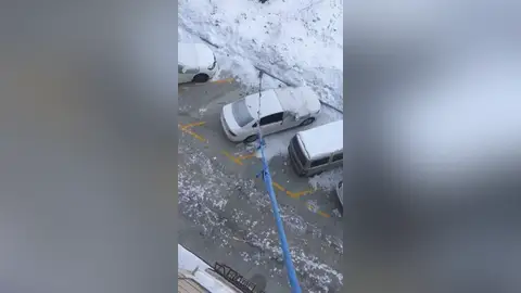 Una mujer en cuarentena pasea a su perro desde un tercer piso Una mujer en cuarentena pasea a su perro desde un tercer piso