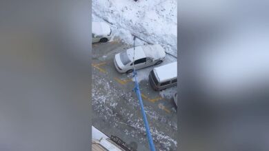 Una mujer en cuarentena pasea a su perro desde un tercer piso