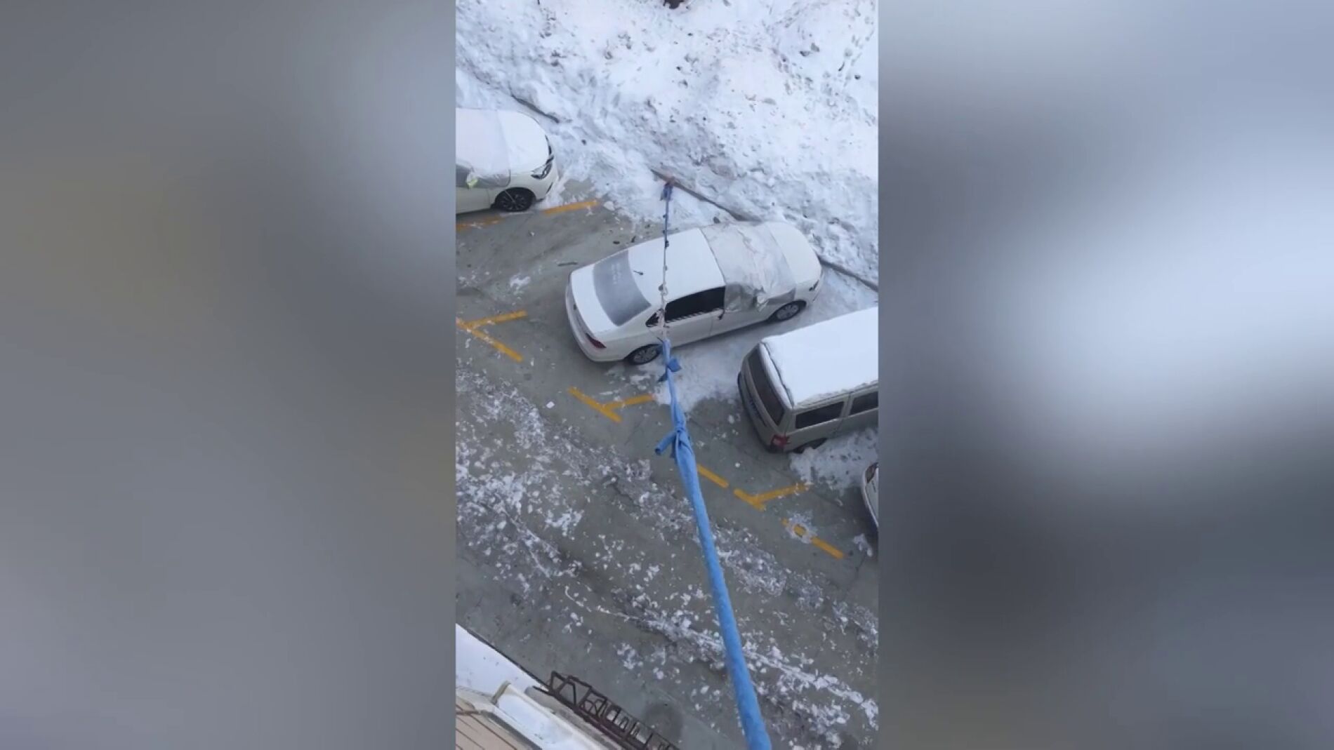 Una mujer en cuarentena pasea a su perro desde un tercer piso