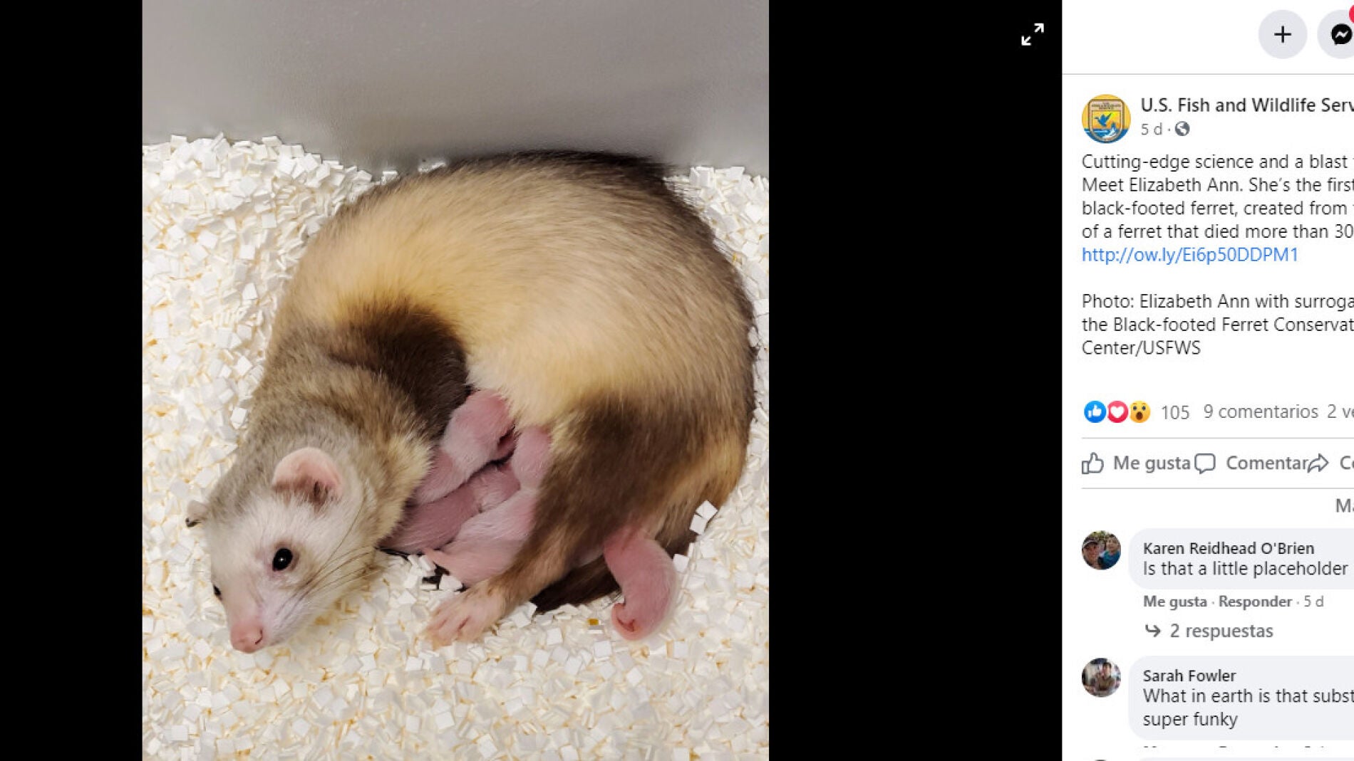Pantallazo de facebook de USFWS