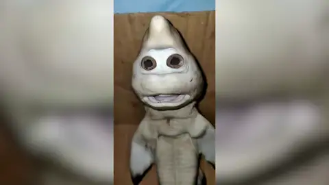 VÍDEO: Un tiburón bebé con rostro humano es capturado en Indonesia VÍDEO: Un tiburón bebé con rostro humano es capturado en Indonesia