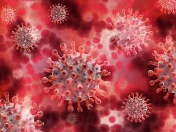 Las proteínas accesorias del coronavirus determinan la gravedad de la enfermedad, según un estudio