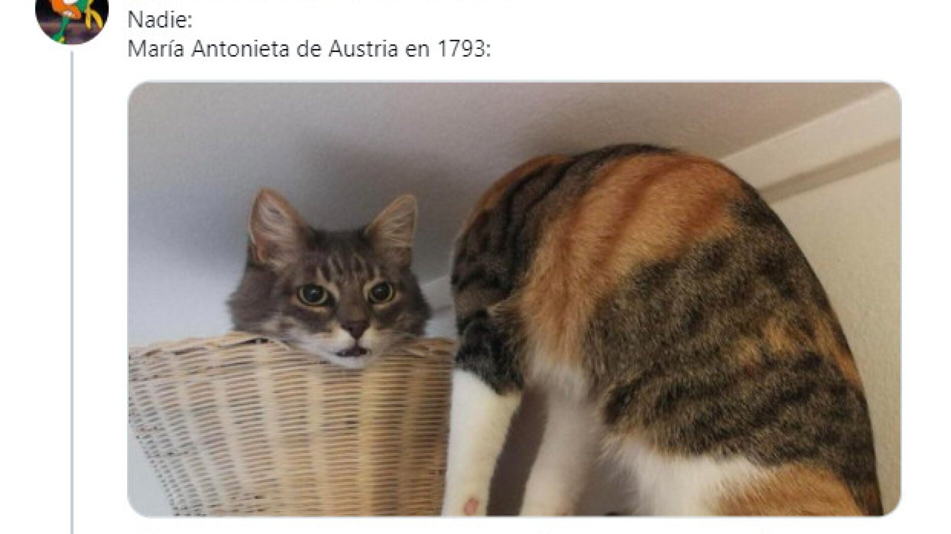 Tuit de @yusdan