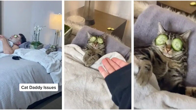 Una chica llega a casa para encontrar a su novio y a su gato disfrutando de un relajante día de spa