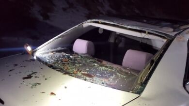 Escapan de la muerte in extremis tras caerles un árbol de 60 metros encima del coche