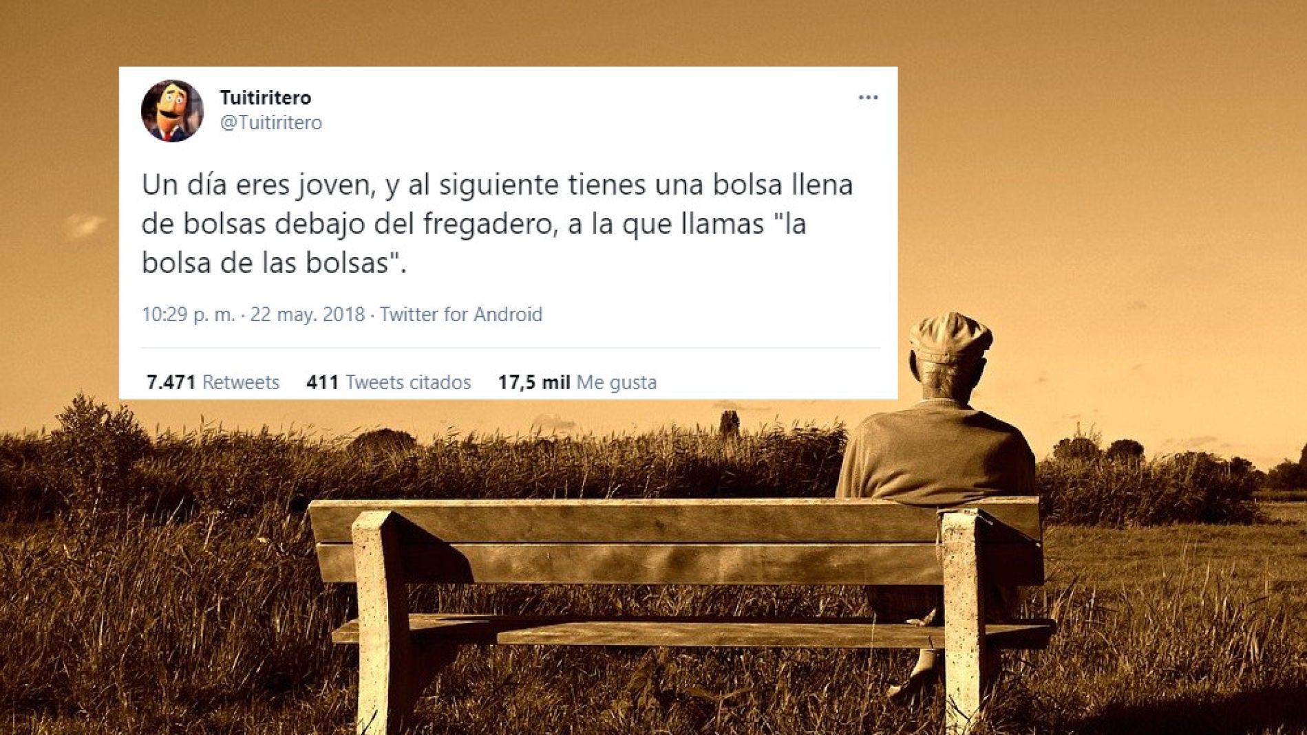 Tuit de @tuitiritero