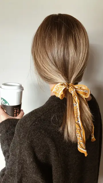 Coleta con lazo Coleta con lazo