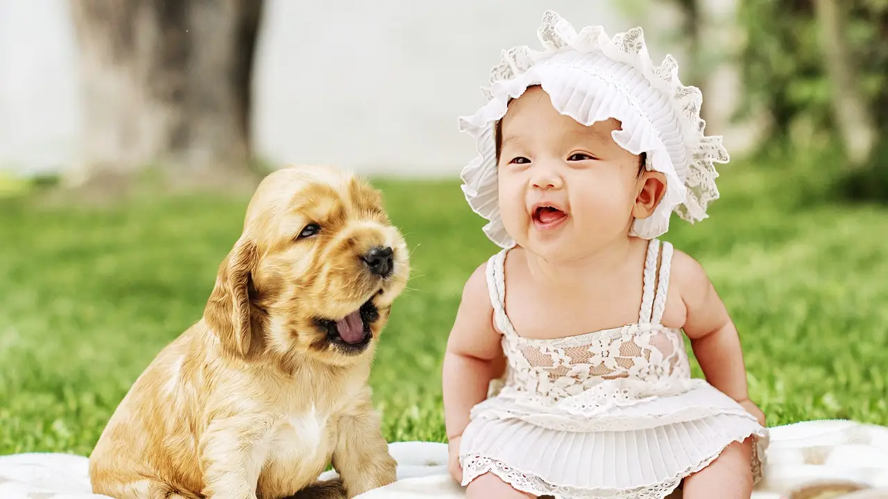 Un bebé y un perro riendo juntos
