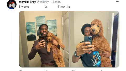 Tuit de @wilkray Tuit de @wilkray