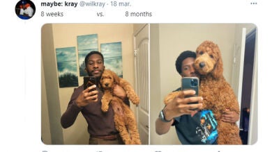 La gente está compartiendo adorables fotos del 