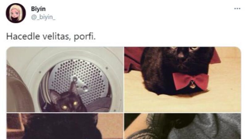 Auronplay y Biyín, preocupados por el estado de salud de Don Gato 