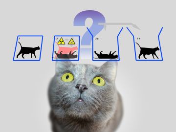 El gato de Schrodinger