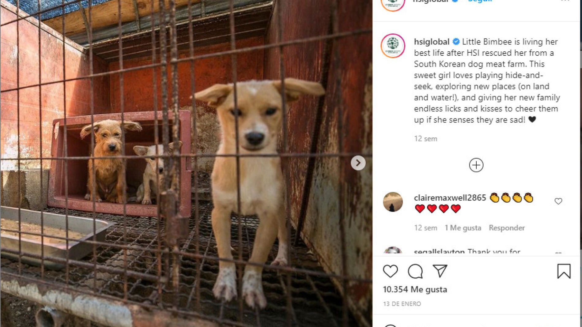 Instagram de @hsiglobal
