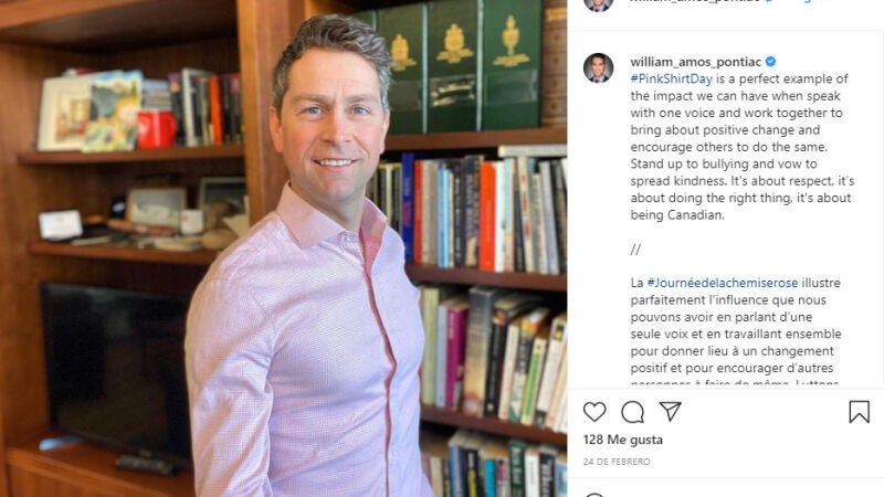 Pillan a un diputado canadiense completamente desnudo en una sesión de la Cámara de los Comunes