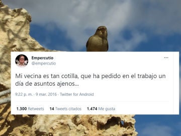 Tuit de @empercutio