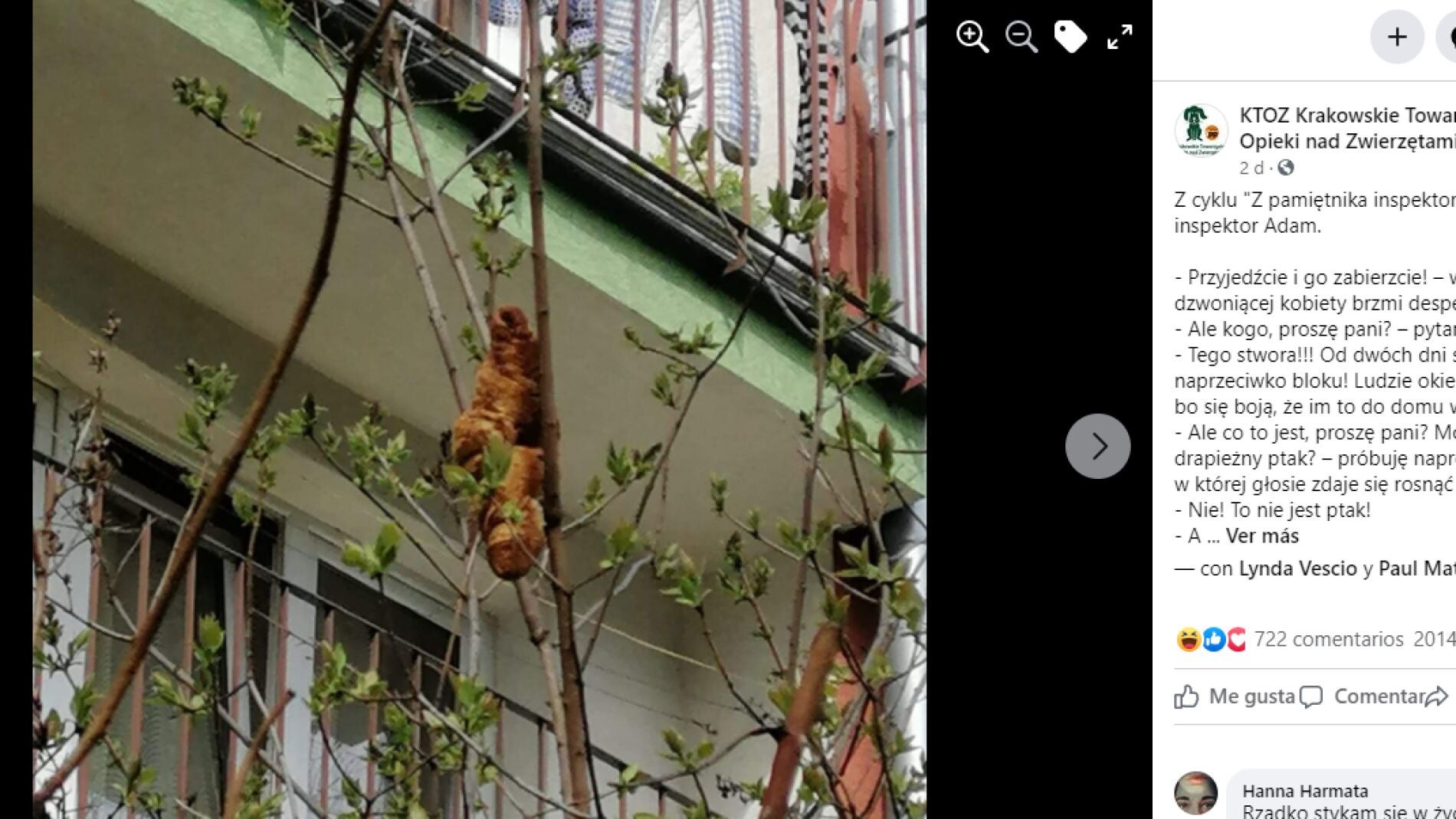 Facebook de la Sociedad Protectora de Animales de Cracovia