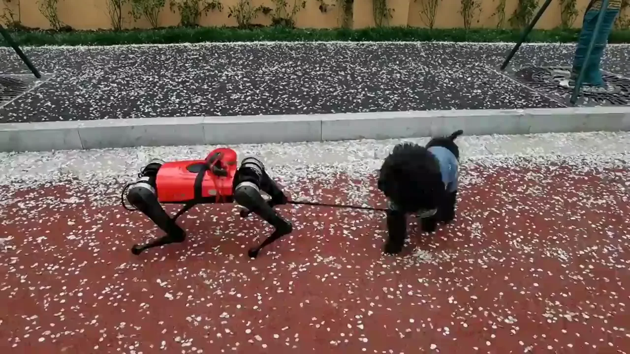 Crean un perro robot en China capaz de guiar y proteger a las personas