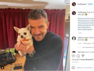 Lucille (mascota de Lolito) y Antonio Banderas