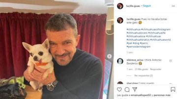 Lucille (mascota de Lolito) y Antonio Banderas