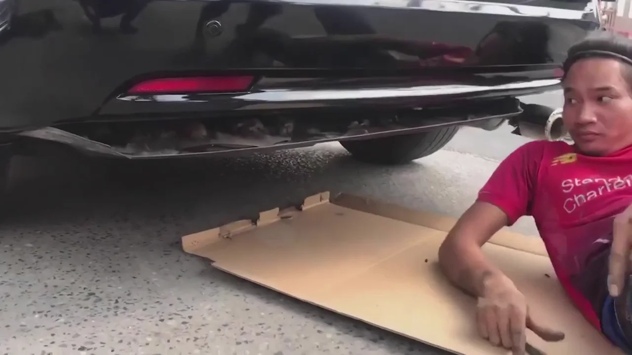 Tres gatitos callejeros fueron encontrados atrapados en el parachoques de un coche
