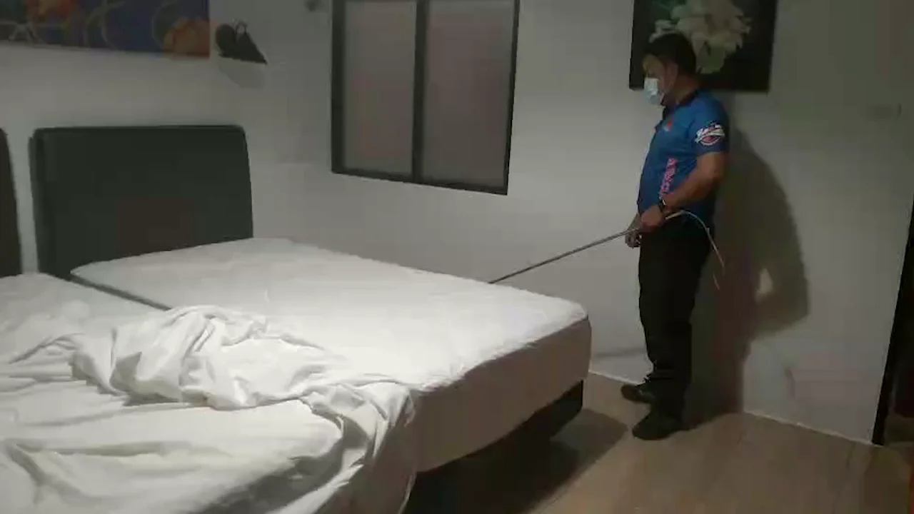 Encuentran un lagarto debajo de la cama