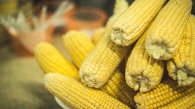 Satisfyer Man: Nuevas masturbaciones, nuevos problemas