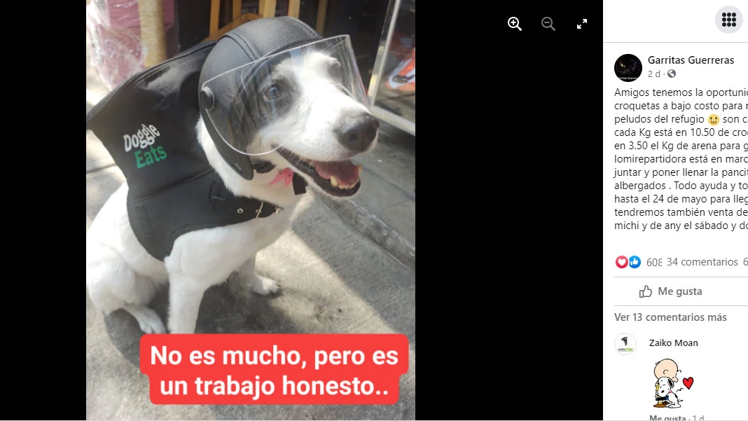 Facebook de @albergue.garritasguerreras