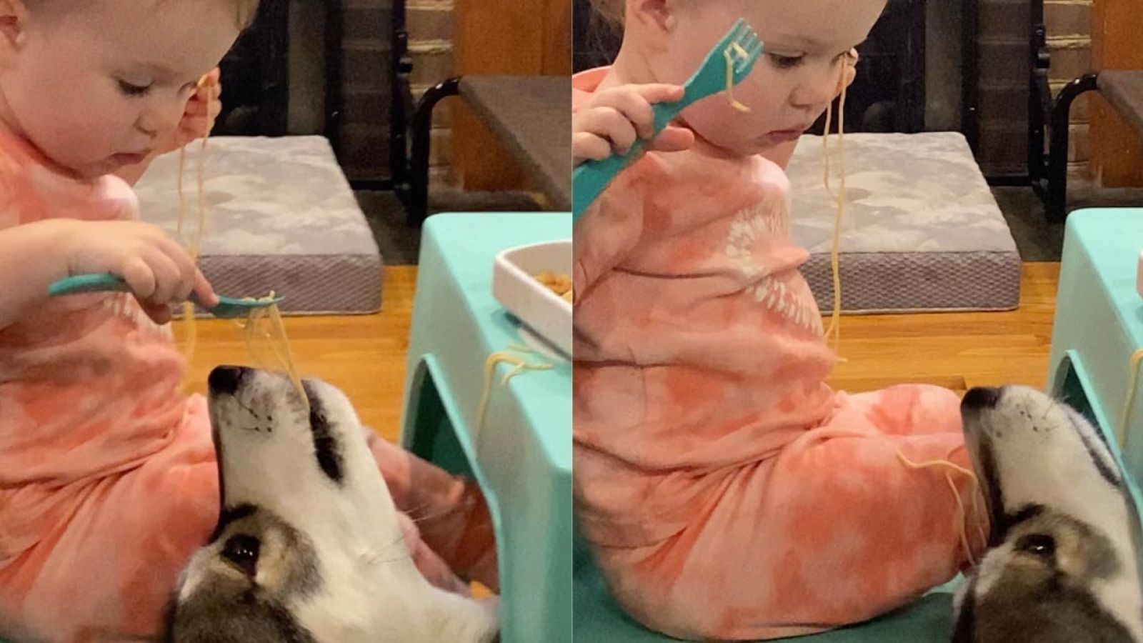 Una niña de 18 meses da de comer a su perro por debajo de la mesa