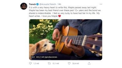 Despide con música a su perrita fallecida: 