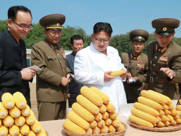 El ayuno no intermitente: la nueva moda que arrasa en Corea del Norte