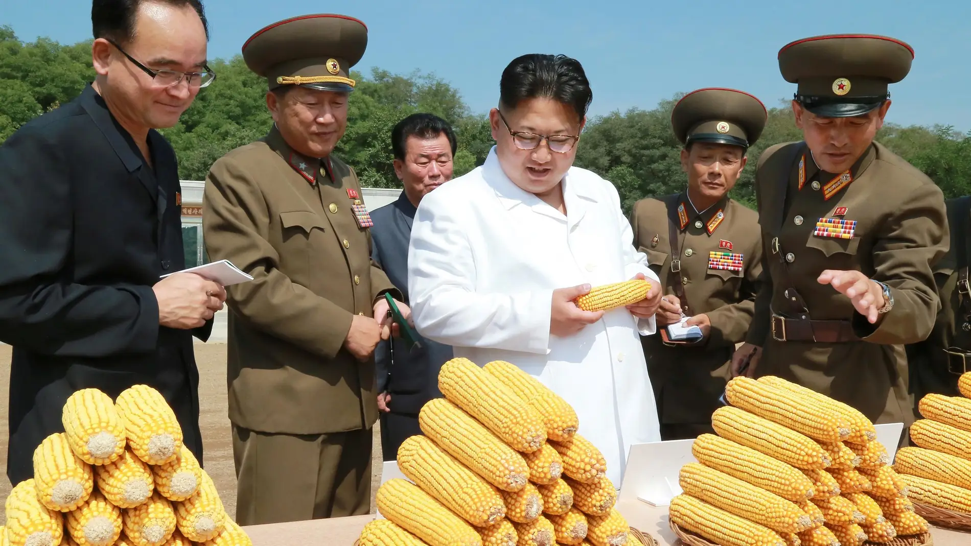 El ayuno no intermitente: la nueva moda que arrasa en Corea del Norte