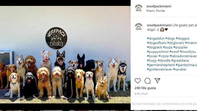 Instagram de @woofpackmiami