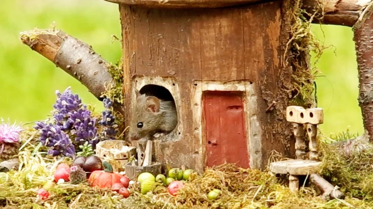 Peque&ntilde;as casas para ratones